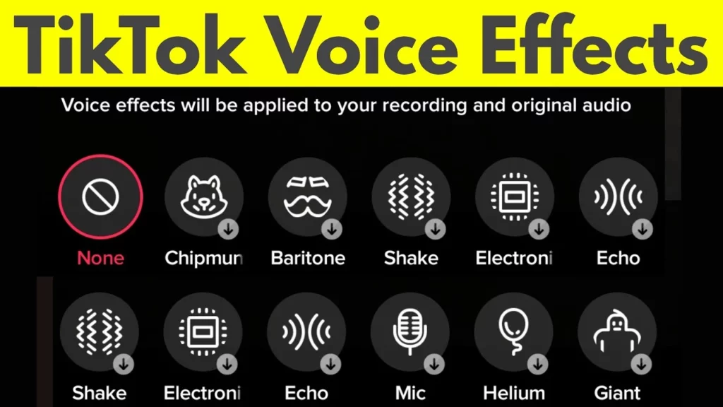 How To Use Voice Filters On TikTok