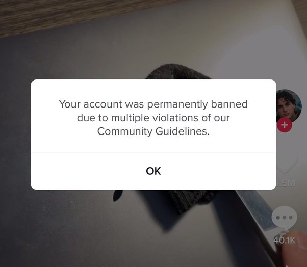Users Report Their TikTok Accounts Being Banned For No Reason