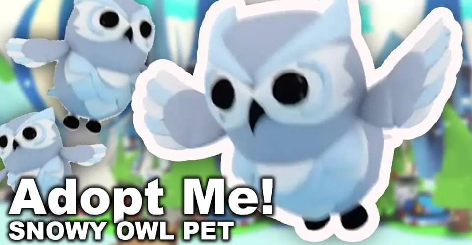 What Is A Snow Owl Worth In Adopt Me