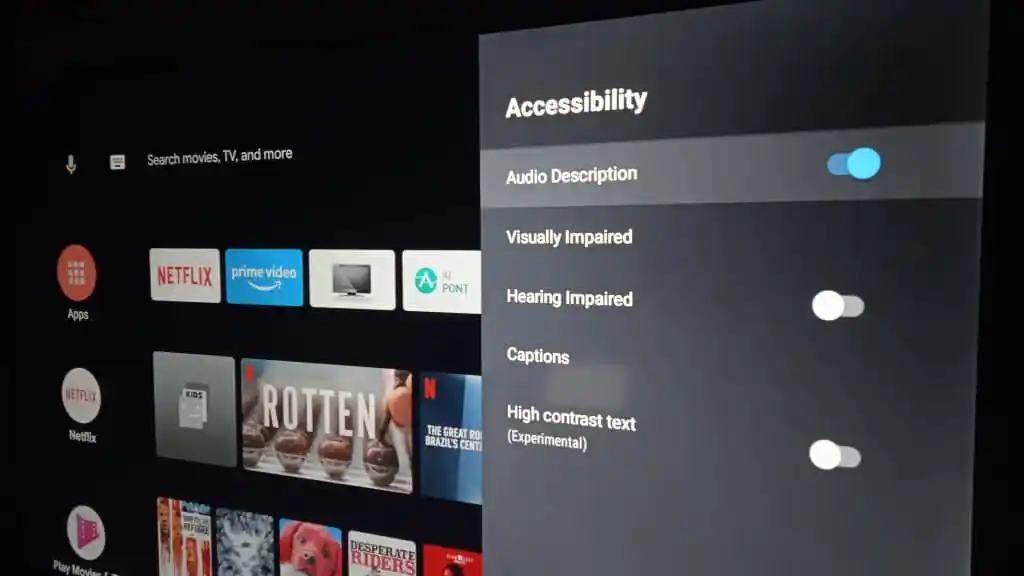 How to Turn off Audio Description on Netflix