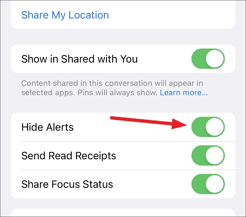 How to Enable Hide Alerts on Your iPhone for a specific Contact or a Group; What Does Hide Alerts Mean on Your iPhone