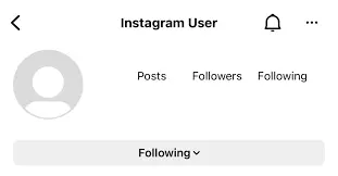 What Does "Instagram User" Mean? Everything You Need To Know 