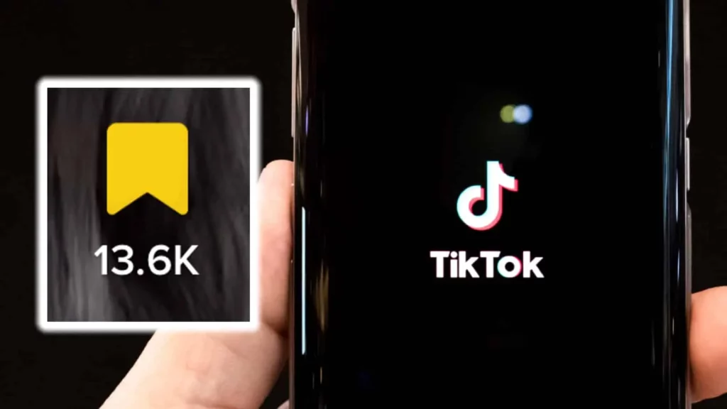 How to Manage Your Favorites on TikTok?