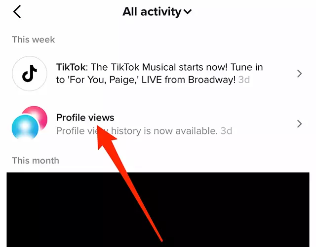 How to See Who Viewed Your TikTok Profile?