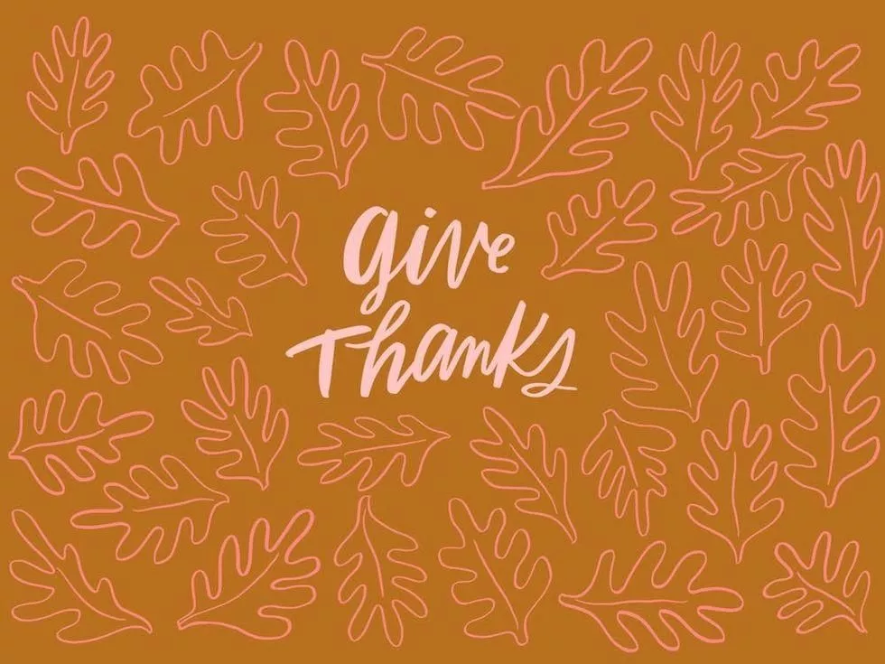 17 Google Meet Thanksgiving Backgrounds To Try Now (2023)