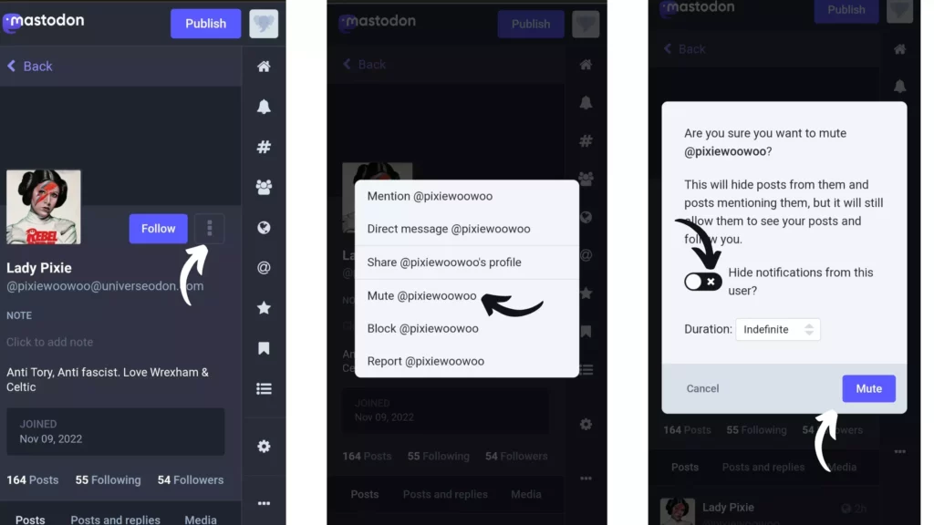 Steps: How to Mute Someone on Mastodon From their Profile?
