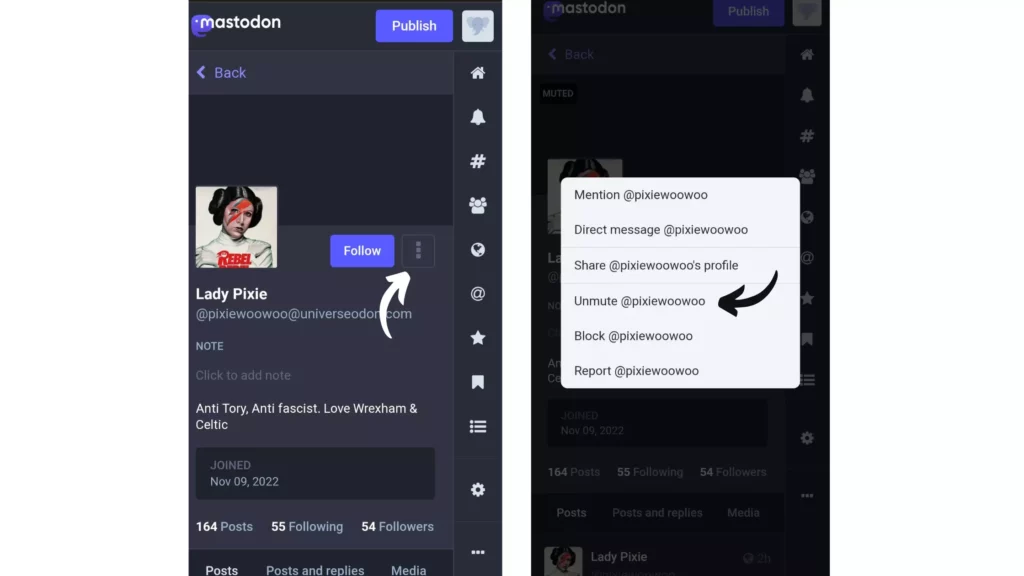 Steps: How to Unmute Someone on Mastodon From Their Profile?
