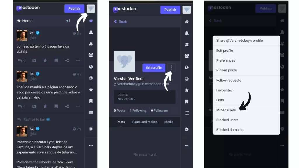 Step: How to Unmute Someone on Mastodon directly from the list of Muted Users?