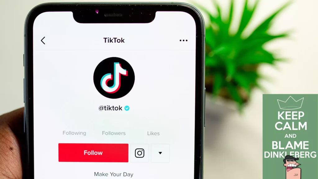 What Does Dinkleberg Mean on TikTok?