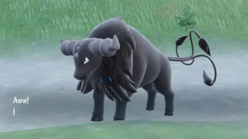 how to find Water Tauros in Pokemon Scarlet and Violet