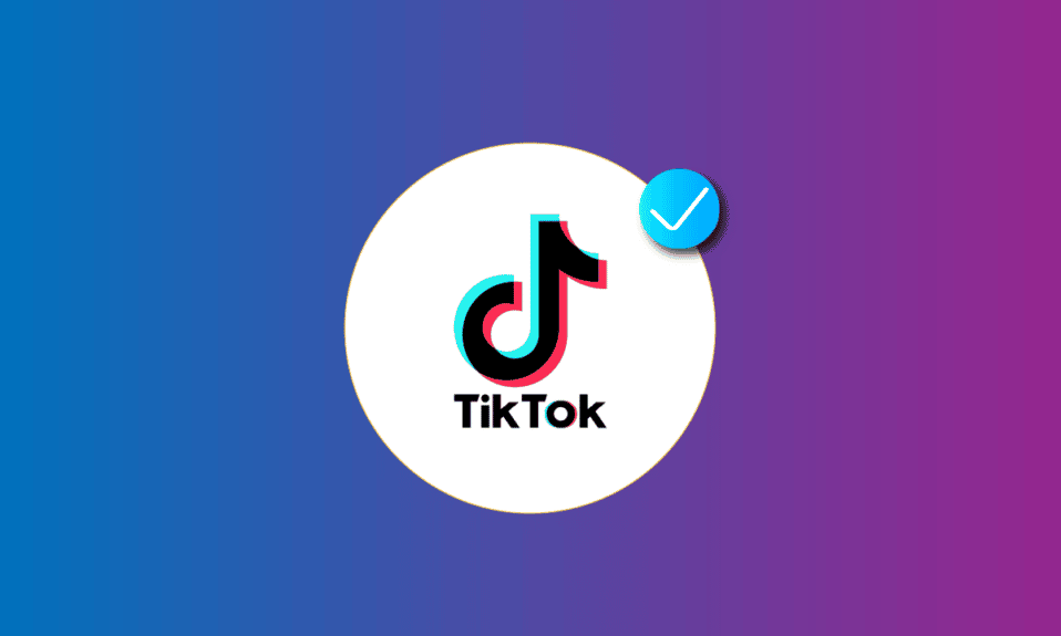 What Are Suggested Searches On TikTok? 