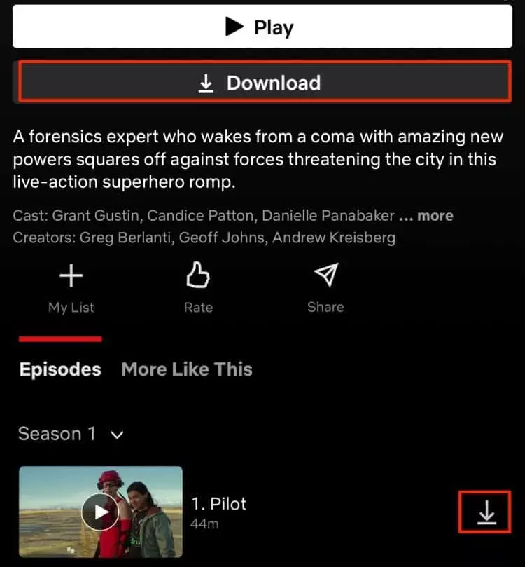 Download Netflix shows ; How to Watch Netflix on TV Without Internet |Netflix Updates