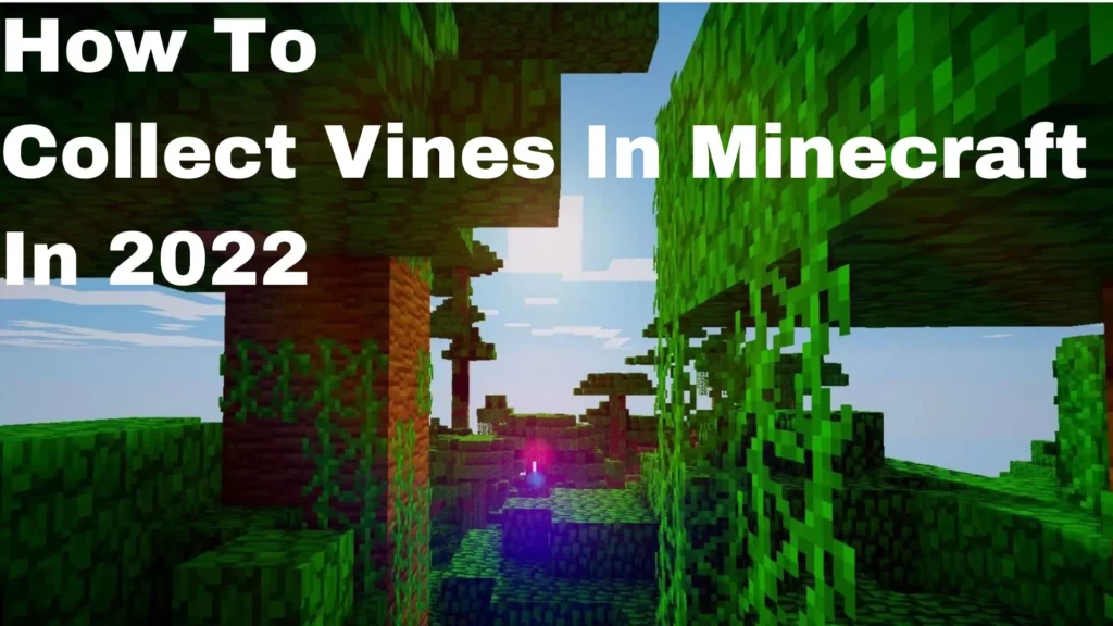 How To Collect Vines In Minecraft