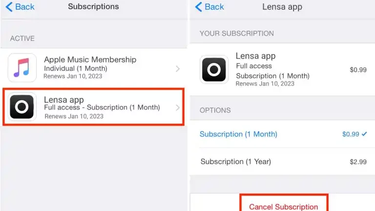 Cancel Subscriptions on Lensa AI