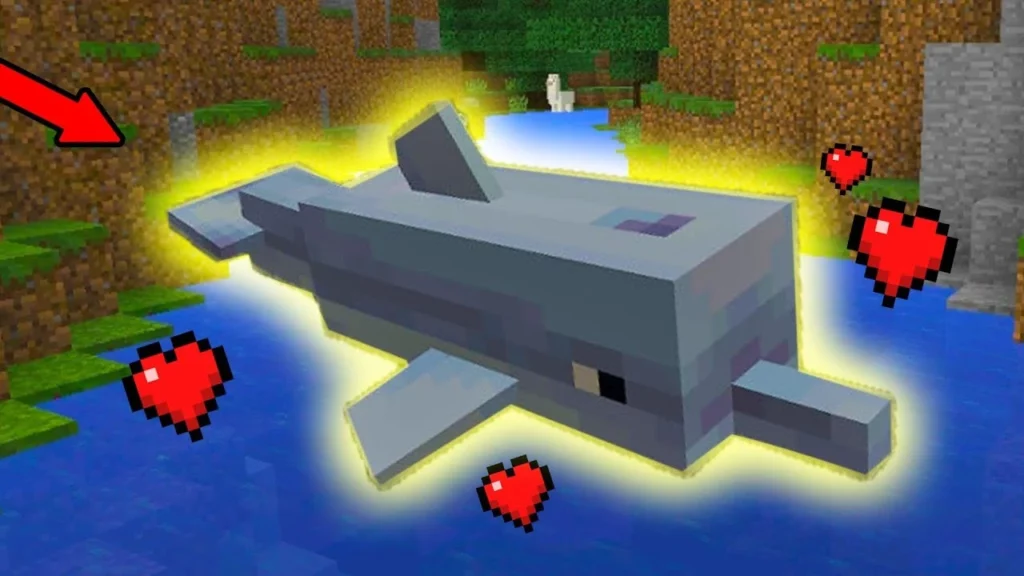 How To Breed Dolphins In Minecraft