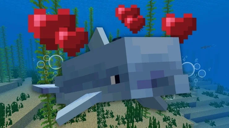 How To Breed Dolphins In Minecraft