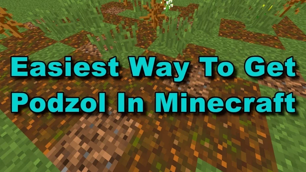 Get Podzol In Minecraft