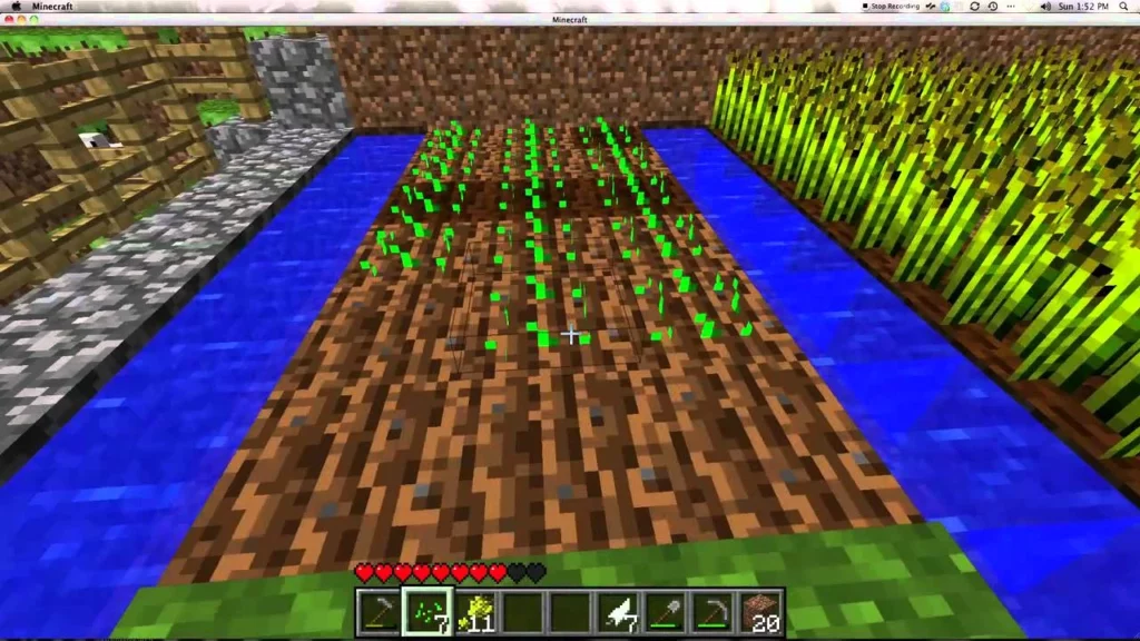 Plant Seeds And Grow Crops In Minecraft 