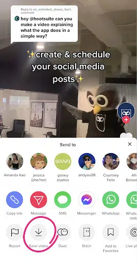 Step: How to Remove TikTok Watermarks by Cropping it Out?