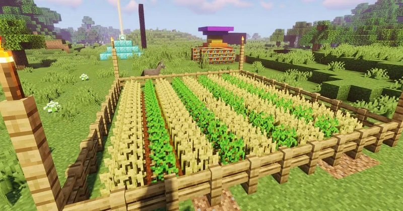 How To Make A Seed Farm In Minecraft?