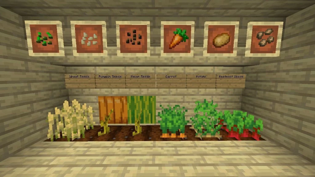 How To Plant Seeds And Grow Crops In Minecraft?