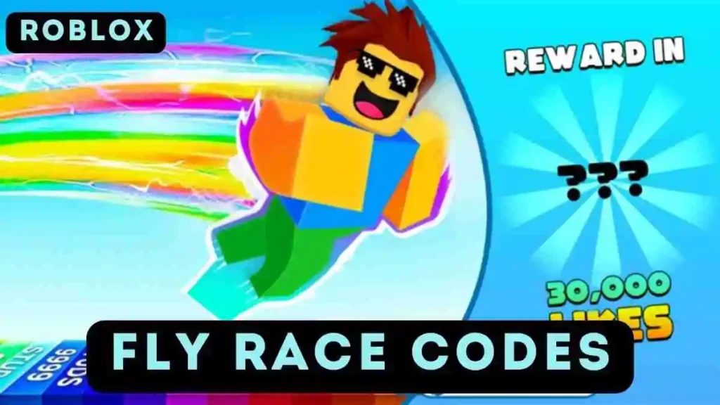 Fly Race Codes
