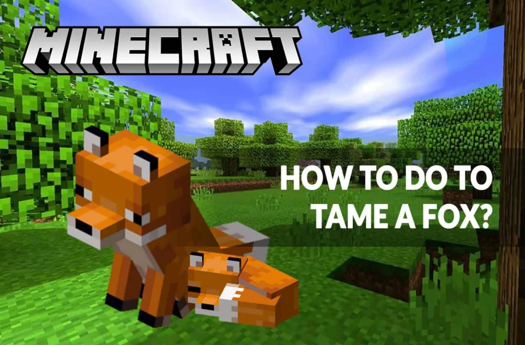 Tame A Fox In Minecraft