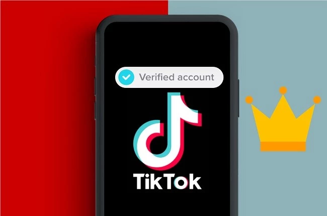 What Does Blue Check Mean On TikTok & How to Get A Blue Checkmark On TikTok?