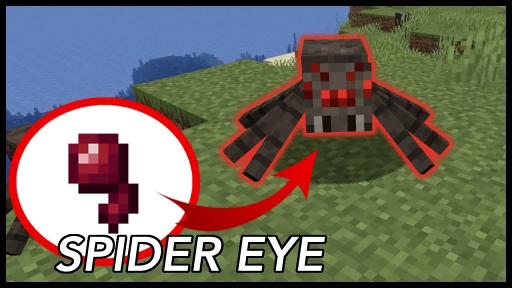 Spider Eyes In Minecraft