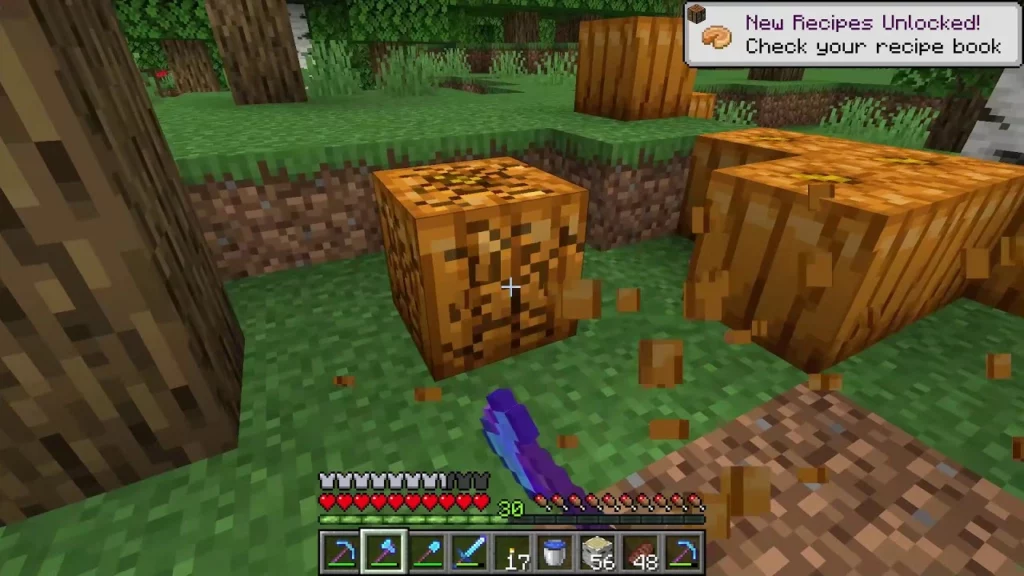 Pumpkin Seeds In Minecraft 