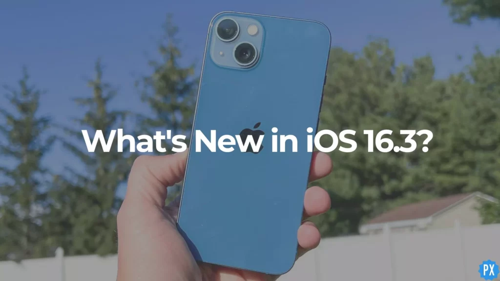 iOS 16.3 Bugs, Errors & Improvements Over the Last Update