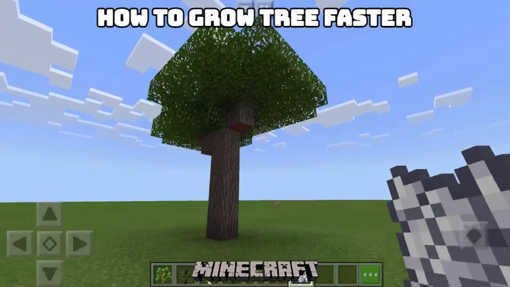 Trees Grow Faster In Minecraft