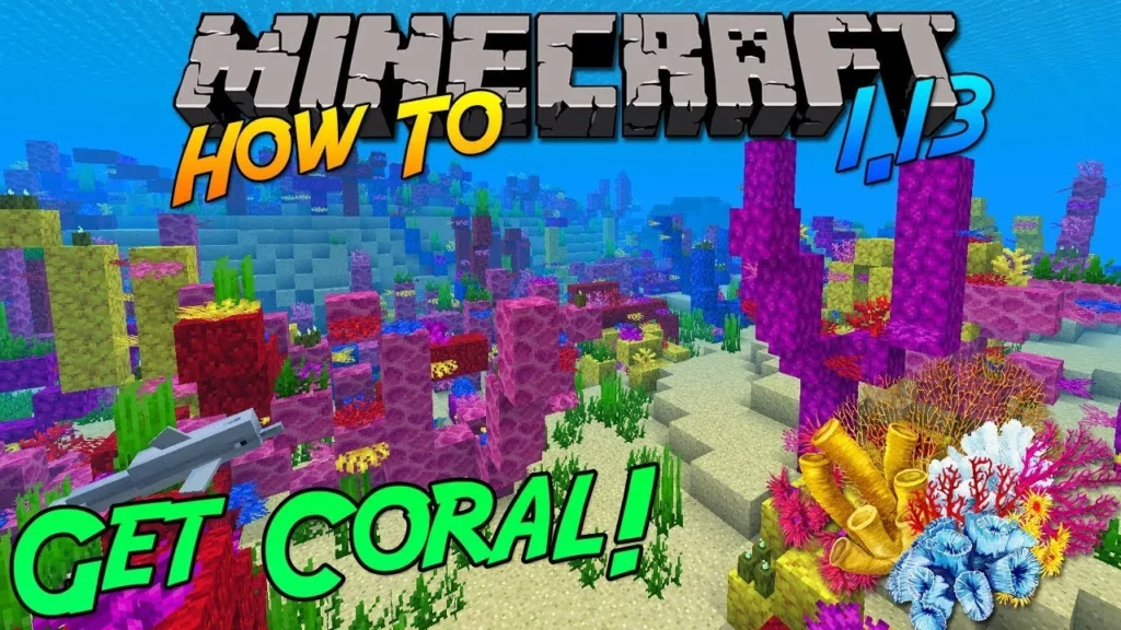 Coral In Minecraft