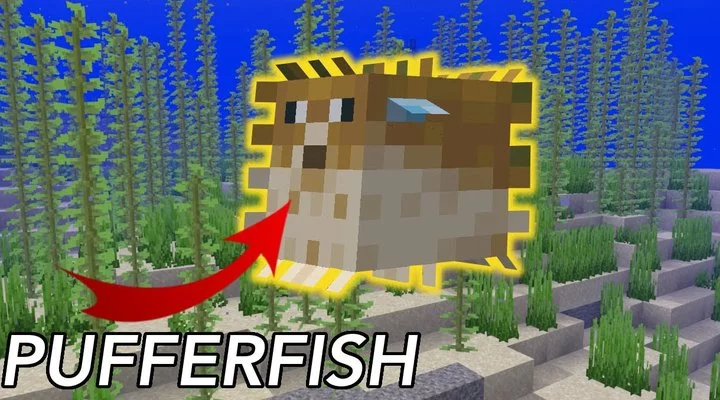 Pufferfish In Minecraft