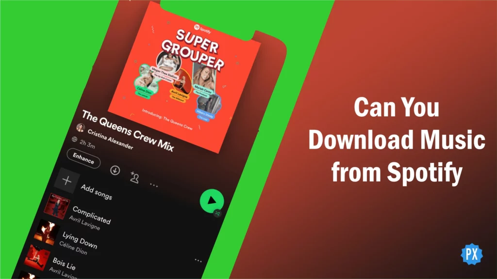 Can You Download Music from Spotify
