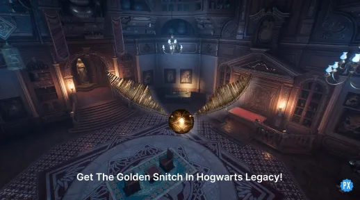 Golden Snitch in Hogwarts Legacy