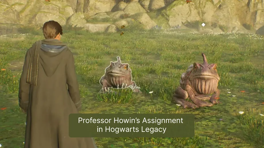 Professor Howin’s Assignment in Hogwarts Legacy