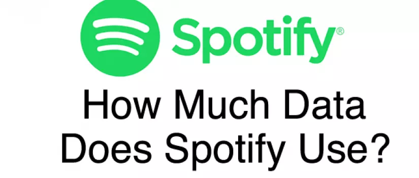 how much does spotify use