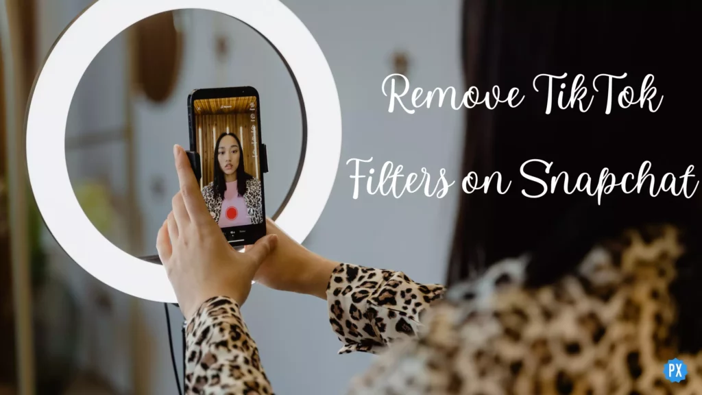 Remove TikTok Filters on Snapchat