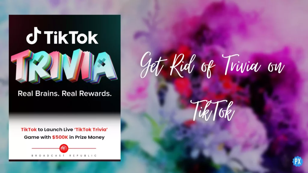Get Rid of Trivia on TikTok