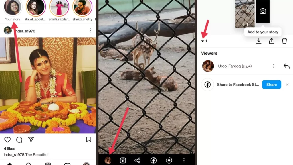 How to Search Who Viewed Your Instagram Story