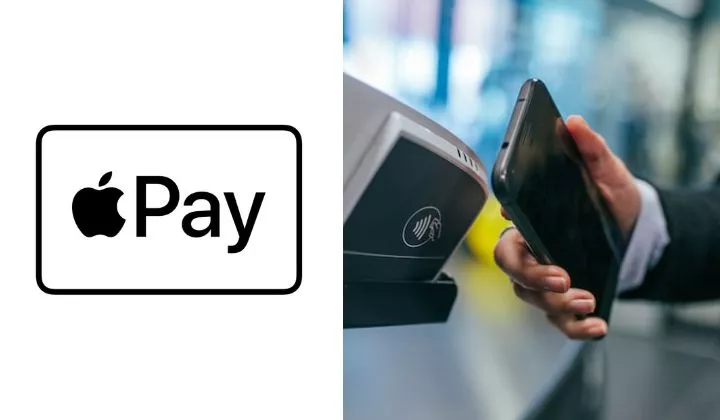 Apple pay logo/ Why is my Apple Pay Declining? 4 Reasons and 5 Solutions