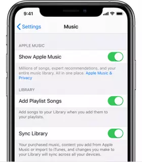 To Fix Apple Music AutoPlay Not Working, Check Settings