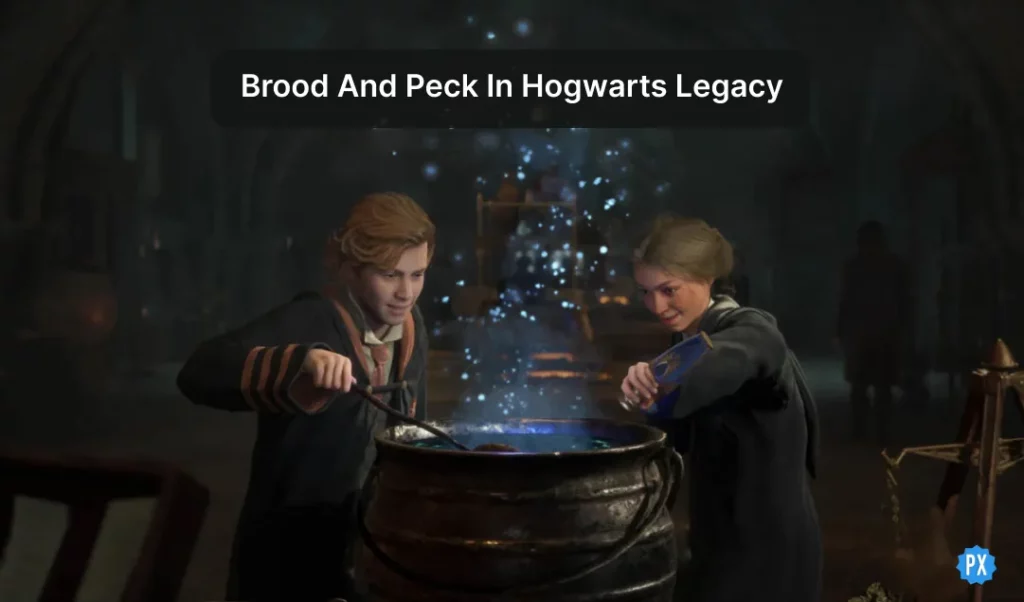 where is Brood and Peck in Hogwarts Legacy