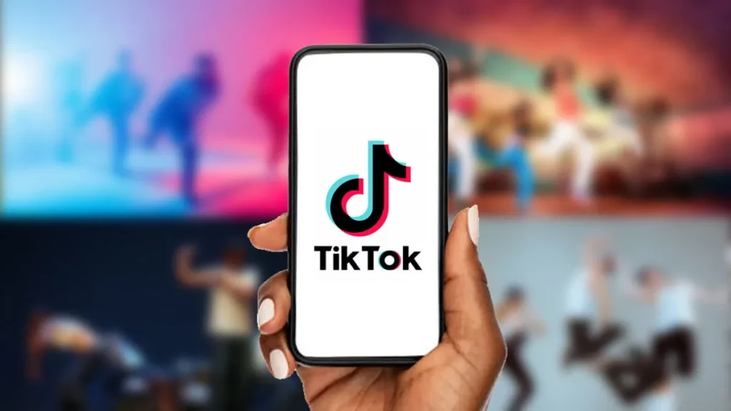 TikTok Saying No Internet Connection