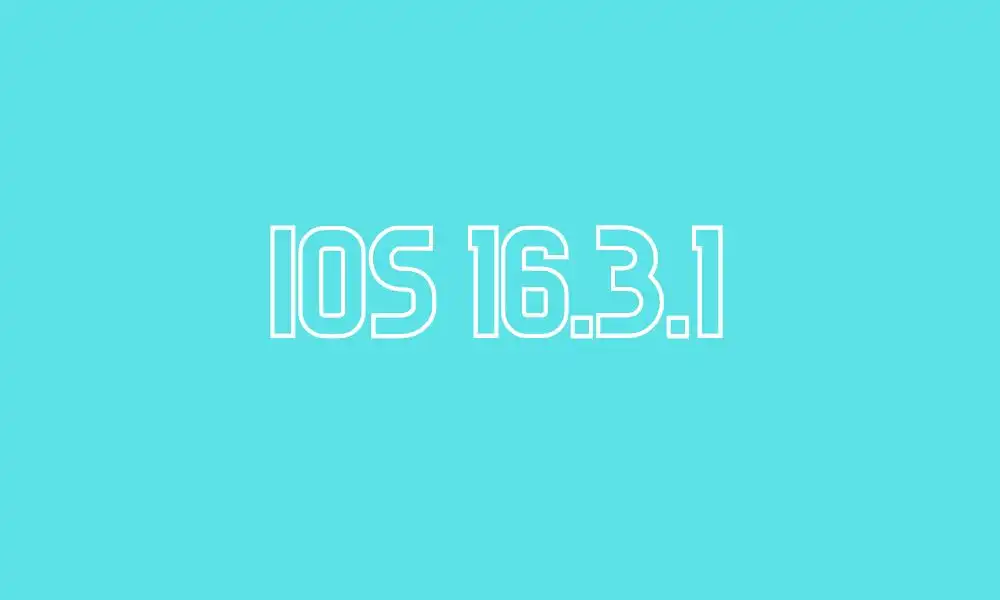 iOS 16.3.1;Should I update to iOS 16.3.1?