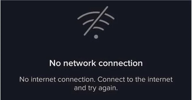 TikTok Saying No Internet Connection