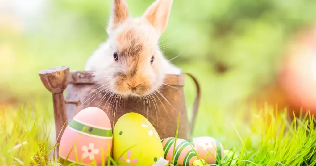 Cute Easter Instagram Quotes