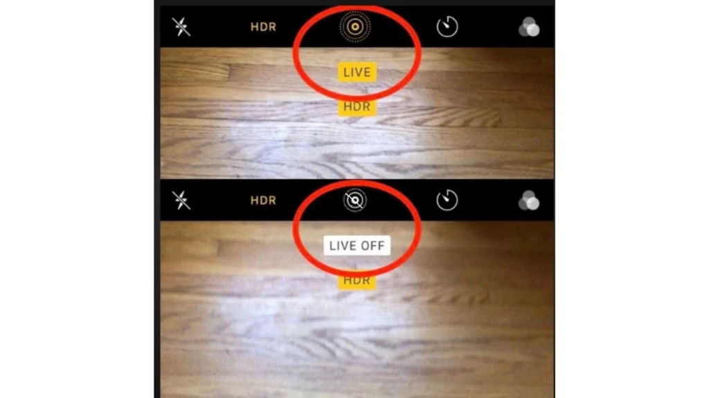What Does Live Mean On iPhone Camera? Video & Photo In 1 Shot!