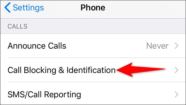 iPhone ; How to See Blocked Numbers on iPhone? Using a Simple Trick